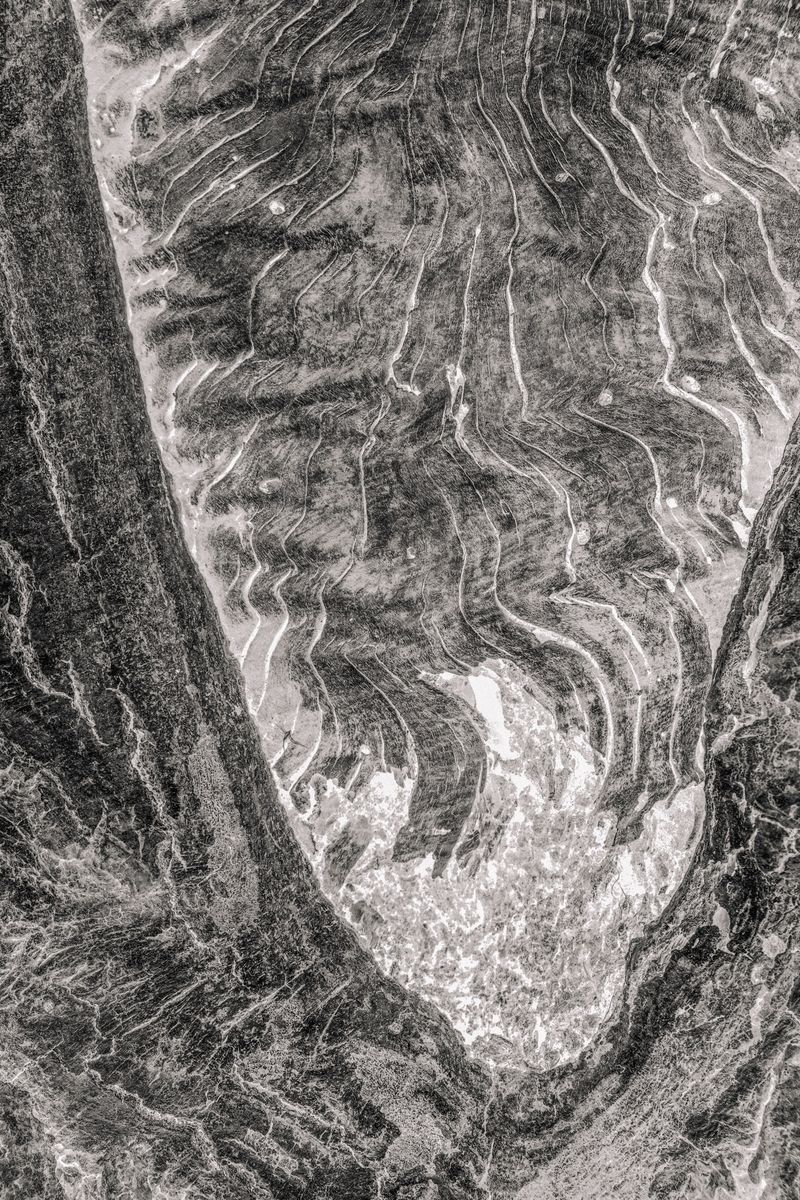 © Roberta Scampone - Image from the ENGRAM photography project