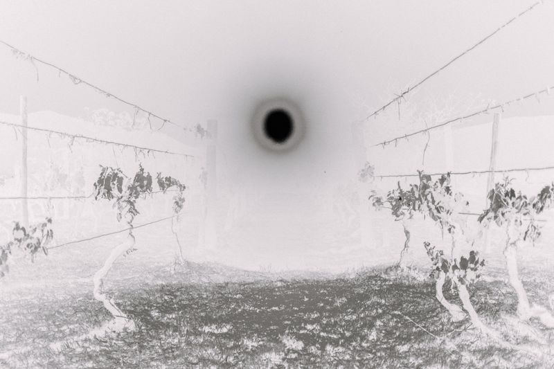 © Roberta Scampone - Image from the ENGRAM photography project