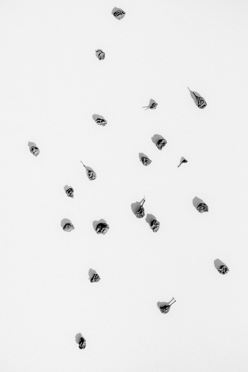 © Roberta Scampone - Image from the ENGRAM photography project