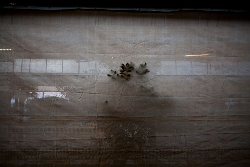 © Adnan Onur Acar - Image from the CAESURA photography project