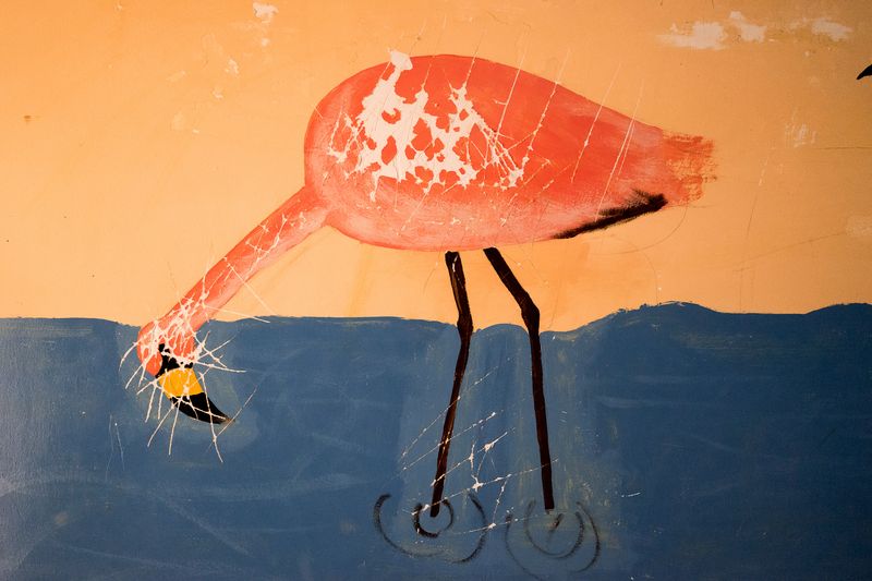 © Misha Vallejo - Image from the Poopo: memories of water photography project