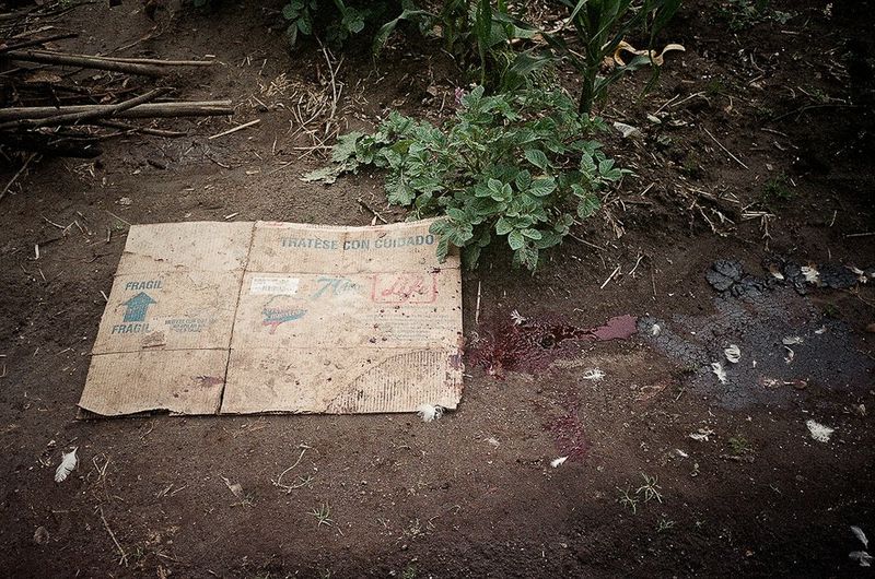 © Misha Vallejo - Image from the Yachacs photography project