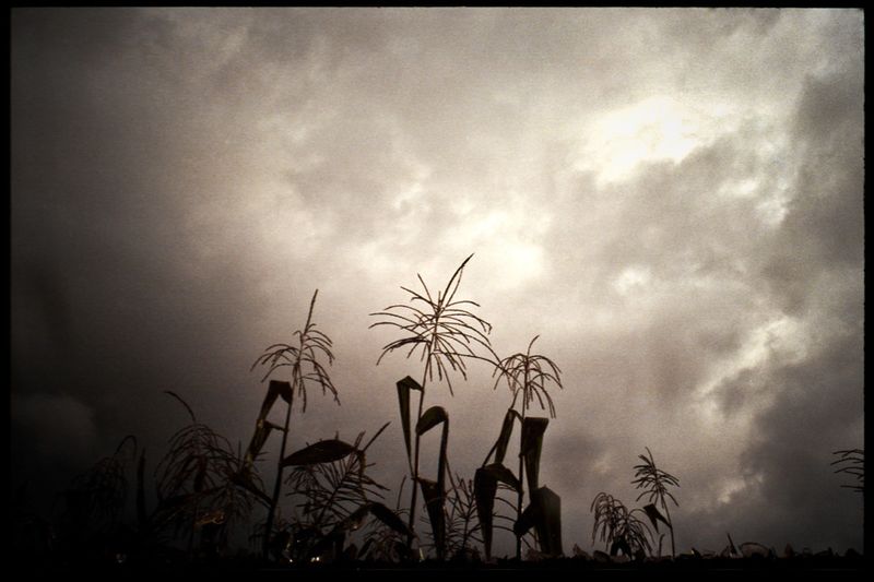 © Misha Vallejo - Image from the Yachacs photography project