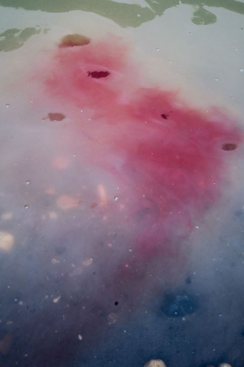 © Misha Vallejo - Image from the Secret Sarayaku photography project