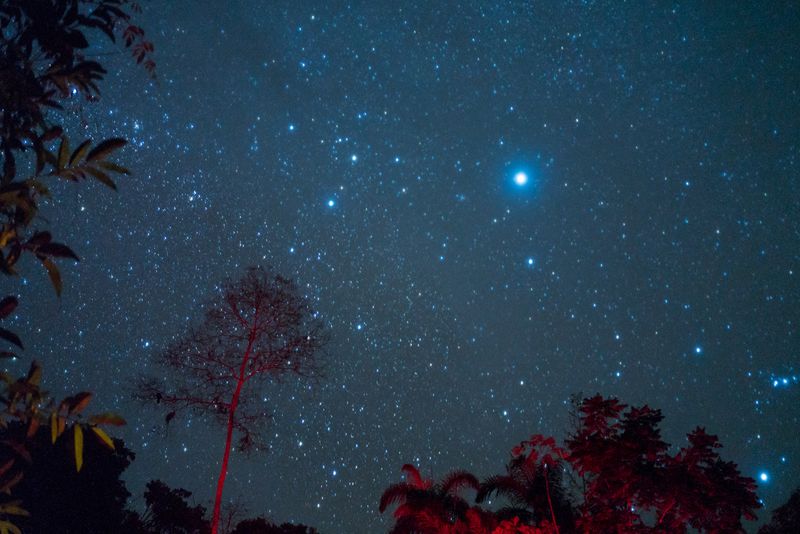 © Misha Vallejo - Image from the Secret Sarayaku photography project