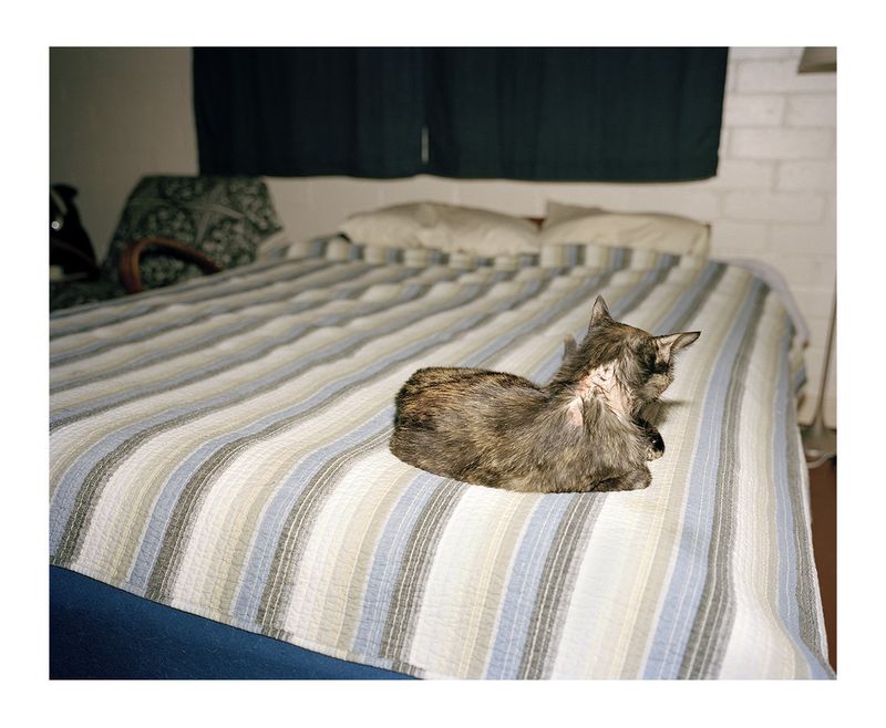 © Serge J-f. Levy - Image from the Fire in the Freezer photography project