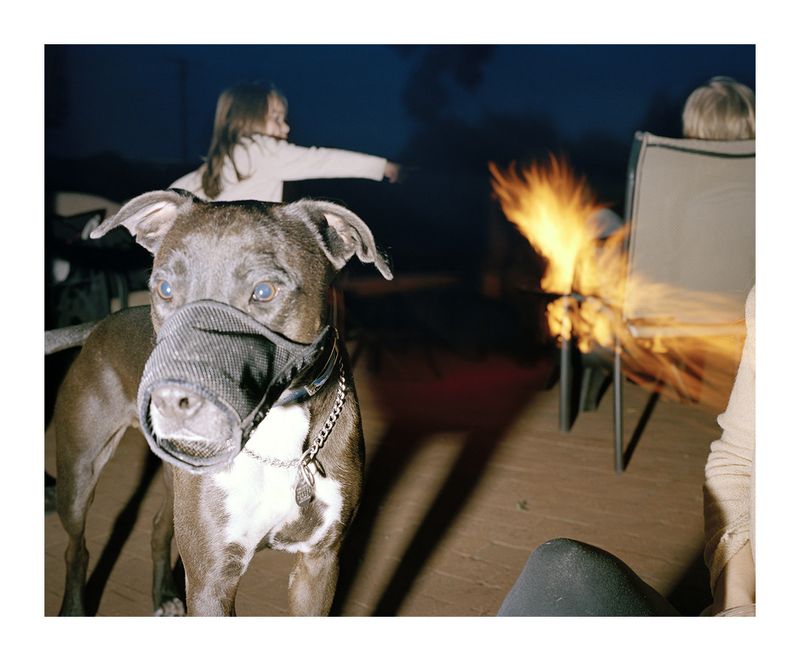 © Serge J-f. Levy - Image from the Fire in the Freezer photography project