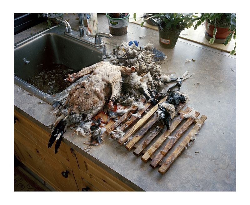 © Serge J-f. Levy - Image from the Fire in the Freezer photography project