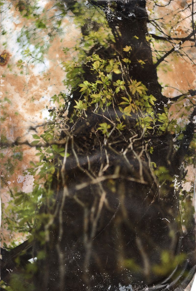 © Yuliana Paranko - Horbachykha landmark, Kyiv, UkrainePrint was left in a soil for month, later scanned