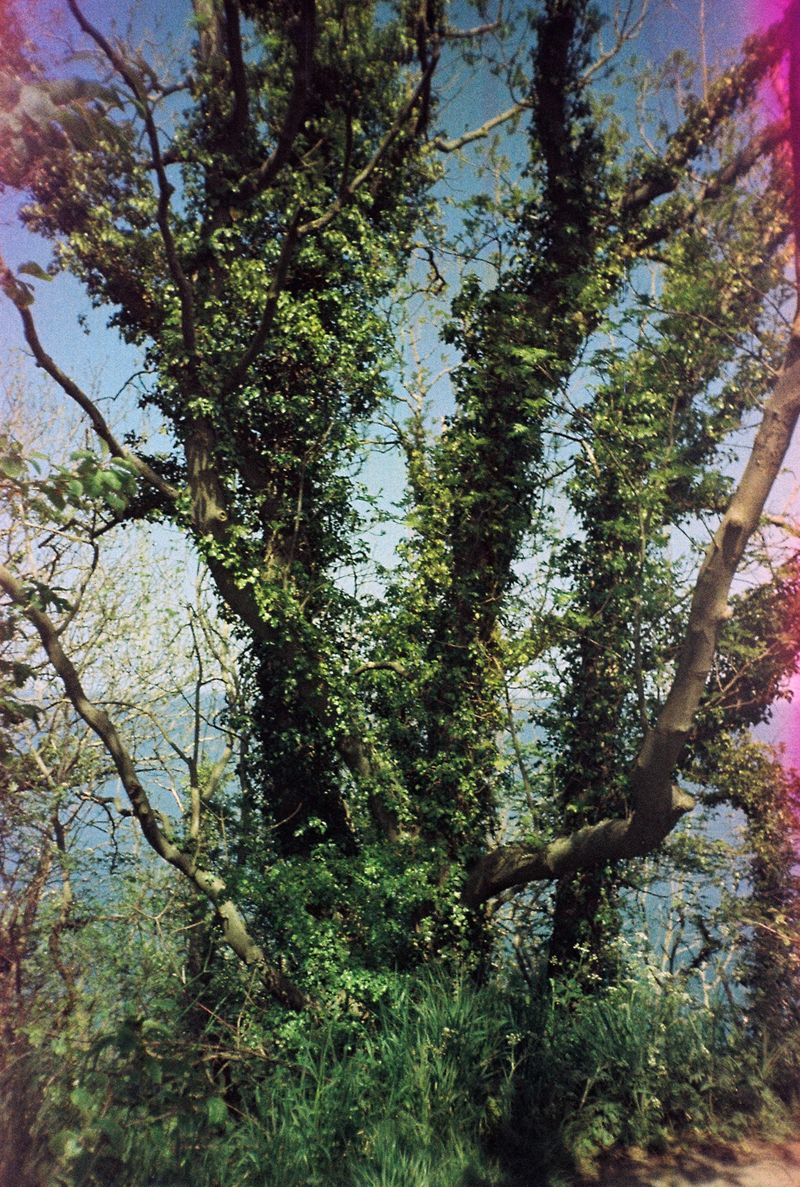 © Yuliana Paranko - Rügen island, Germany