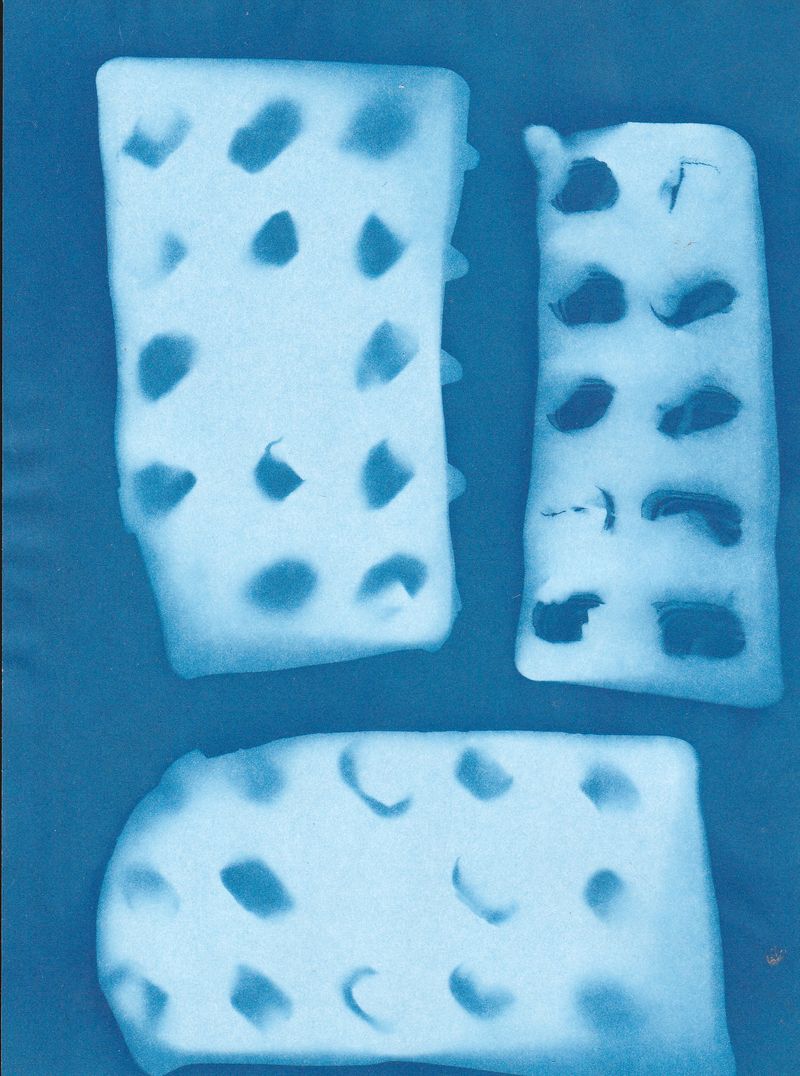 © Yuliana Paranko - cyanotype, imprint of empty blister packs from antidepressants