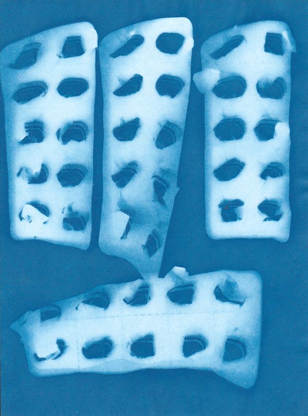 © Yuliana Paranko - cyanotype, imprint of empty blister packs from antidepressants
