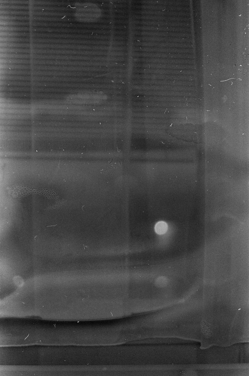 © Yuliana Paranko - black and white film soaked in my antidepressants