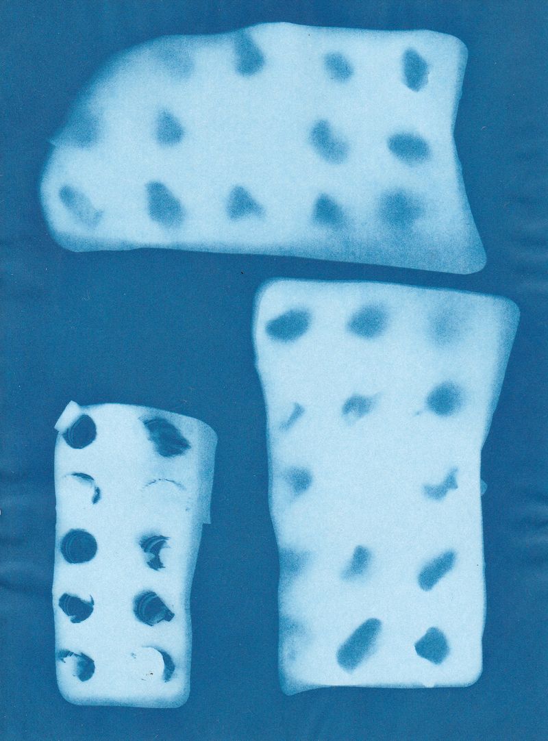© Yuliana Paranko - cyanotype, imprint of empty blister packs from antidepressants