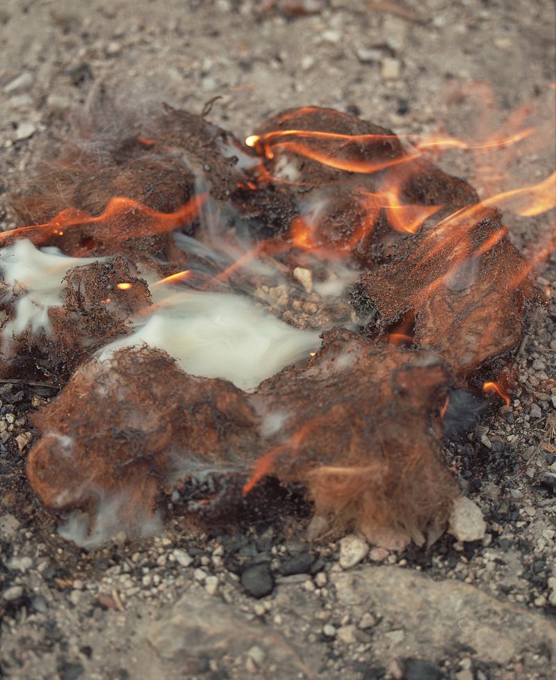 © Noemi Szecsi - Image from the it cannot rain forever photography project