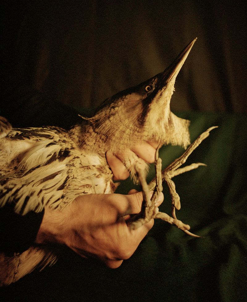 © Noemi Szecsi - Image from the it cannot rain forever photography project
