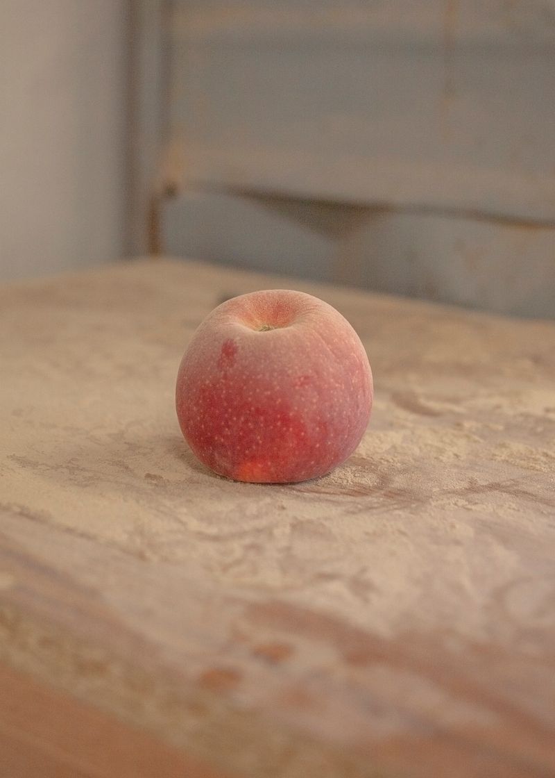 © Noemi Szecsi - Image from the memento mori photography project