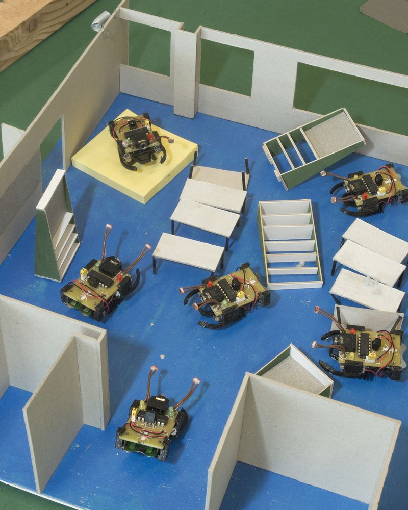 © Guilherme Gerais - Robotic Ants, 2018