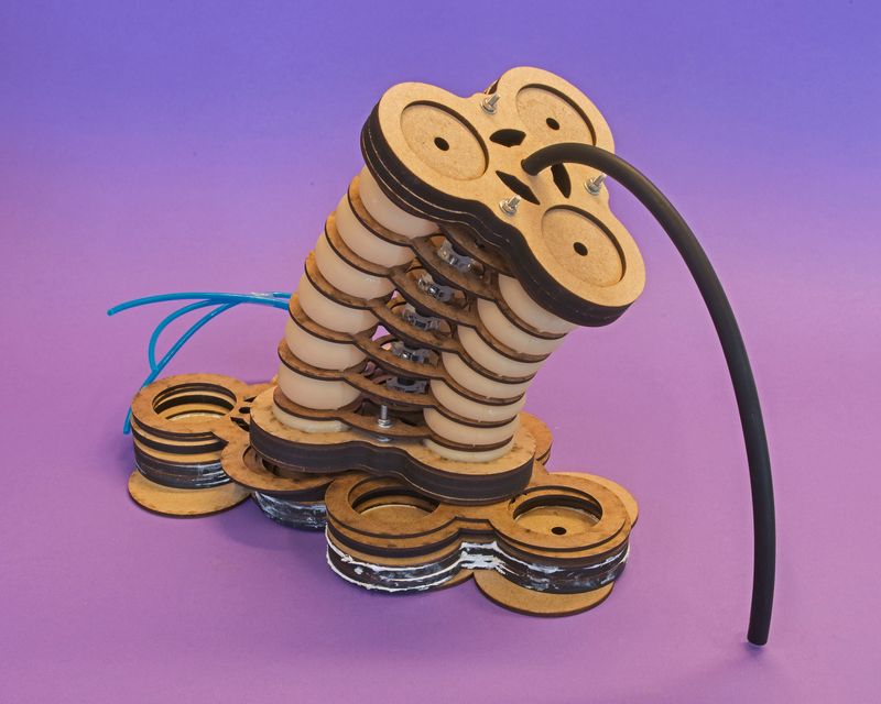 © Guilherme Gerais - Elephant Trunk Robotic, 2018