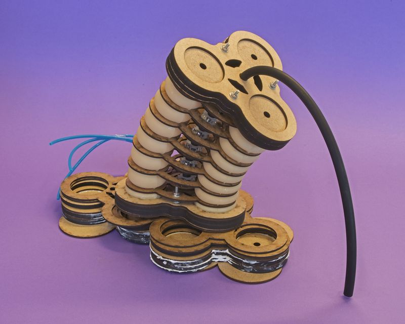 © Guilherme Gerais - Elephant Trunk Robotic, 2018