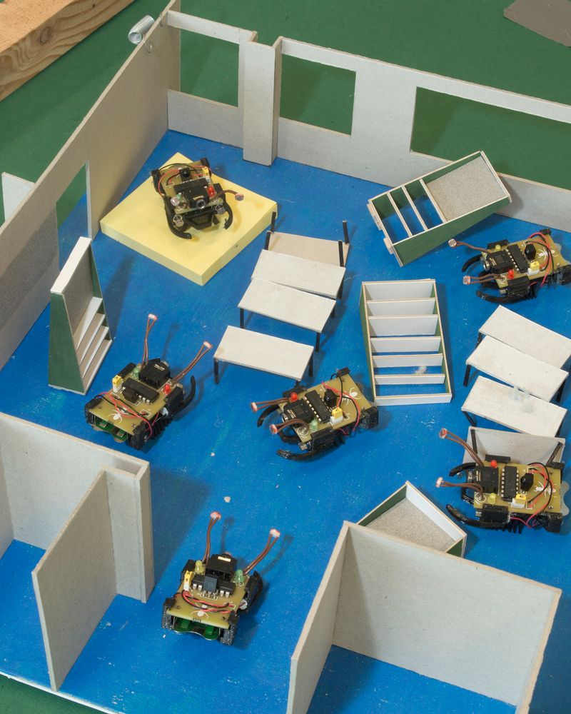 © Guilherme Gerais - Robotic Ants, 2018