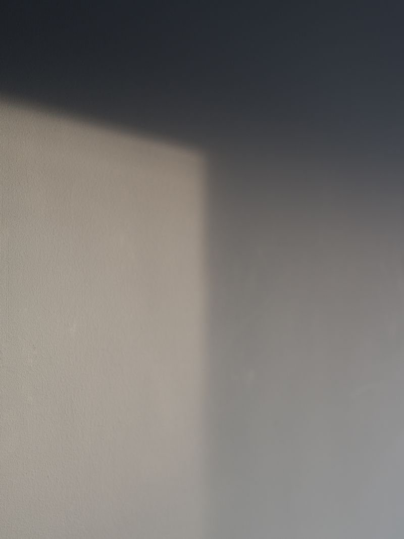 © Laura San Segundo - Image from the One can only give examples of it photography project