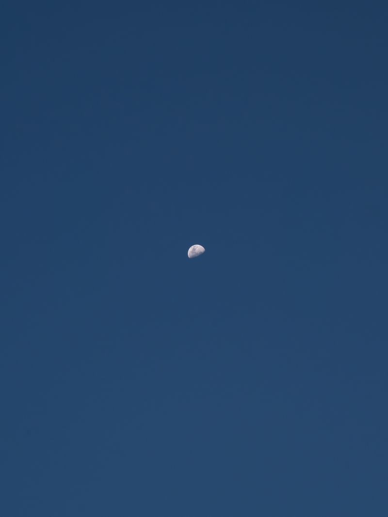 © Laura San Segundo - Image from the The circular enclosure photography project