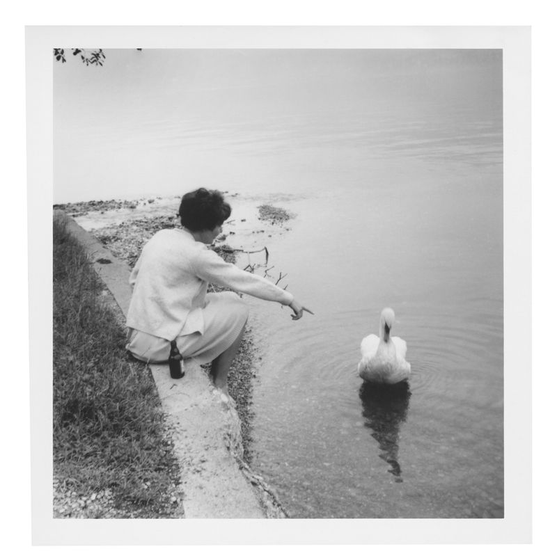 © Laura San Segundo - Image from the The circular enclosure photography project