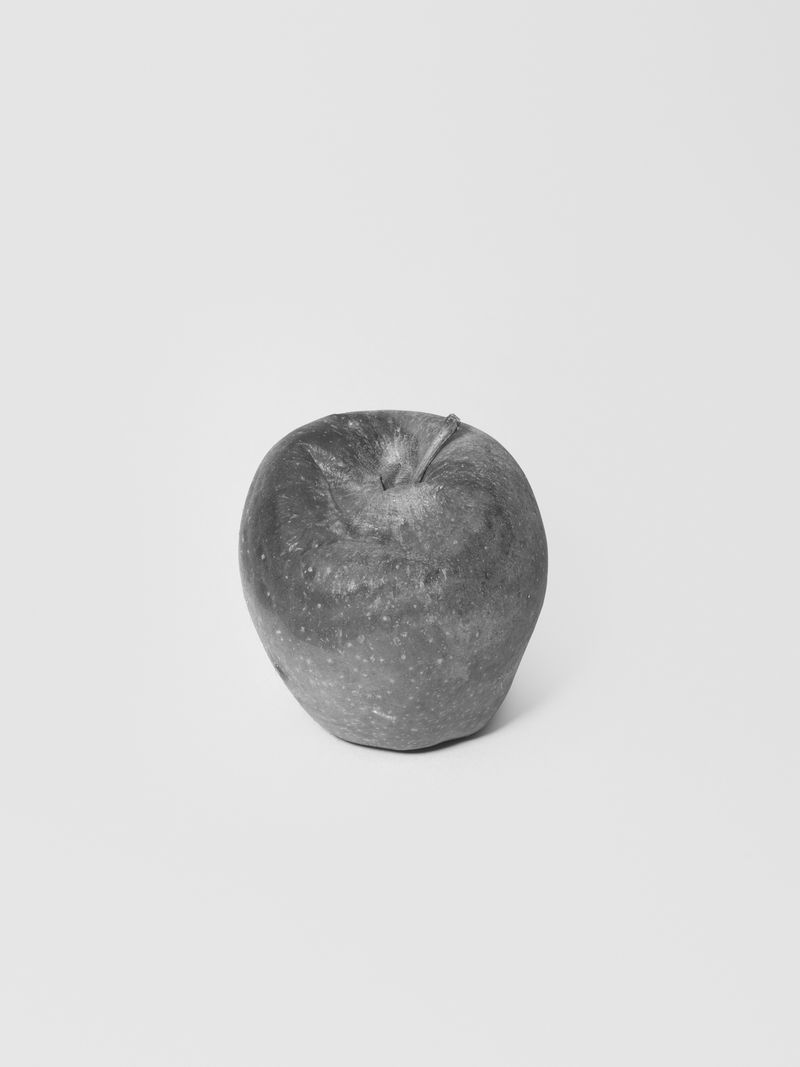 © Laura San Segundo - Image from the The circular enclosure photography project