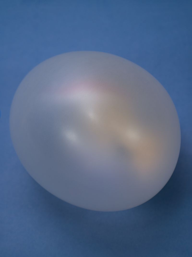 © Laura San Segundo - Image from the The circular enclosure photography project