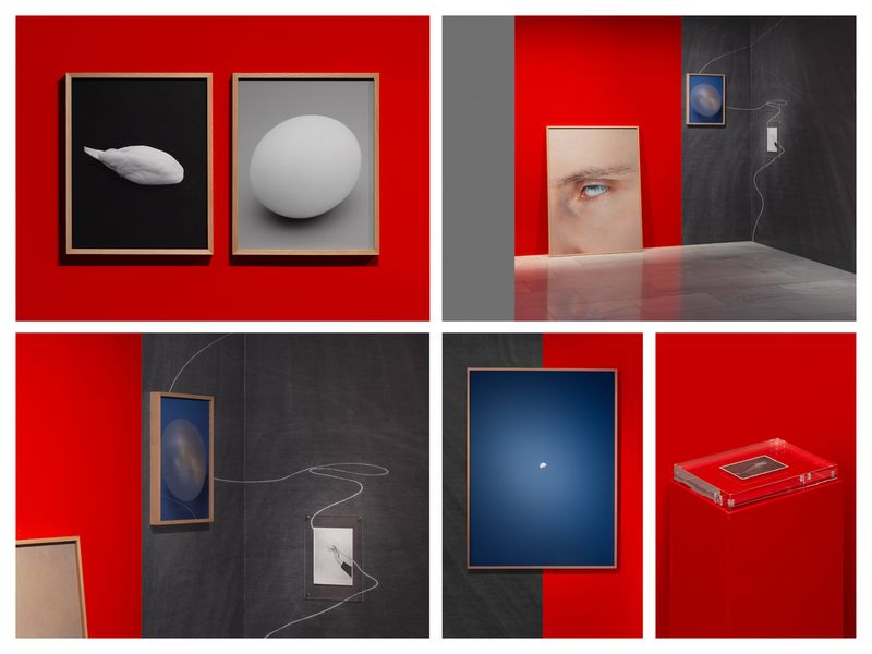 © Laura San Segundo - Image from the The circular enclosure photography project