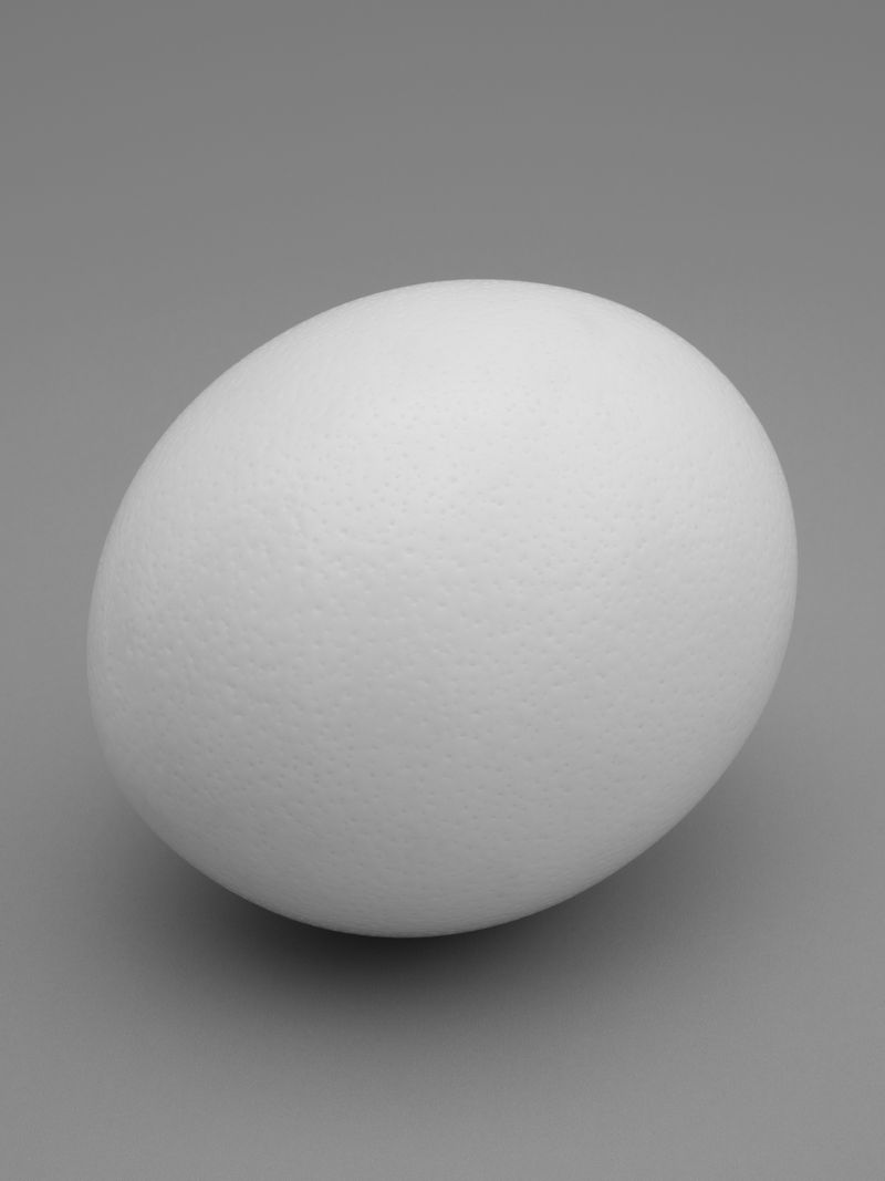 © Laura San Segundo - Image from the The circular enclosure photography project