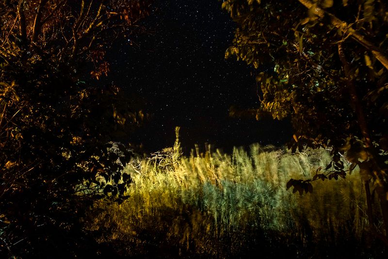 © Johis Alarcón - Image from the cimarrona photography project