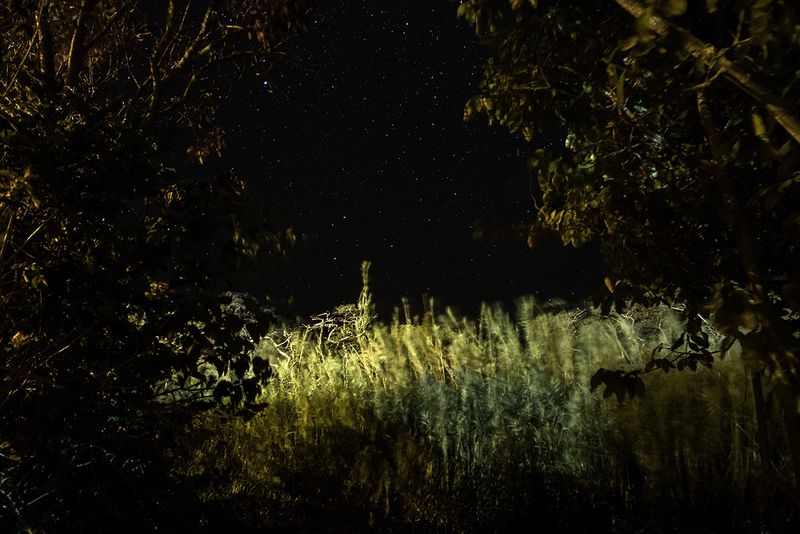 © Johis Alarcón - Image from the cimarrona photography project