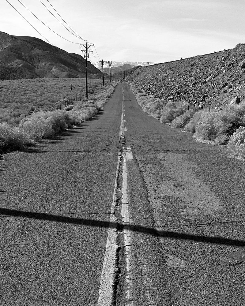 © William Mark Sommer - The Loneliest Road