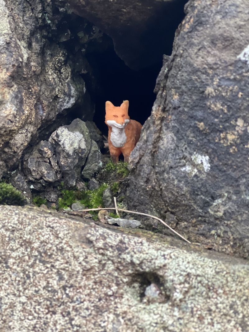 © Lukas Kroulik - Fox