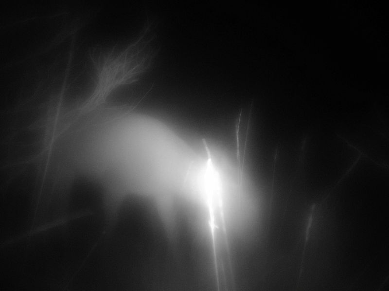 © Lukas Kroulik - Image from the My Photo-Trap Diaries - 15 Borreraig 365 photography project