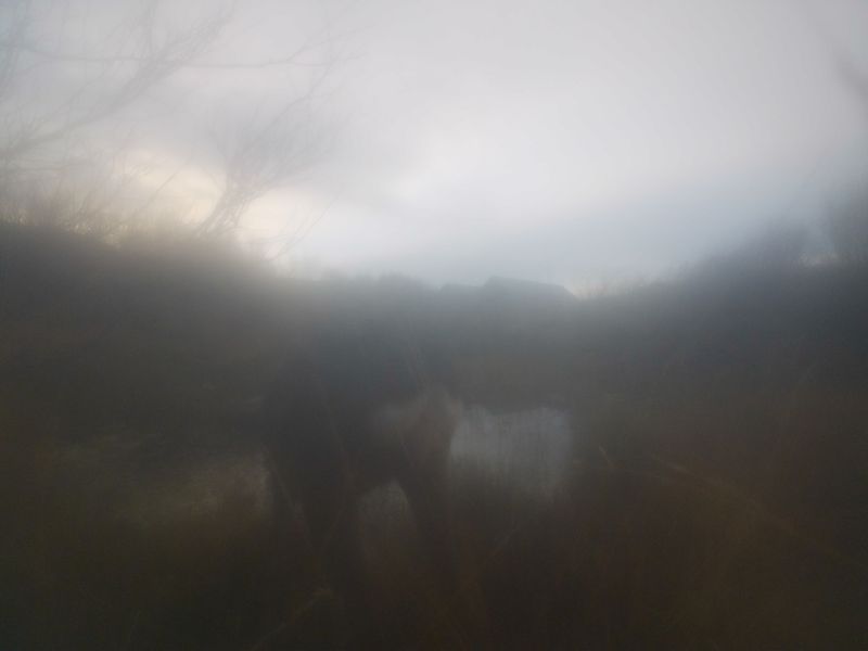 © Lukas Kroulik - Image from the My Photo-Trap Diaries - 15 Borreraig 365 photography project