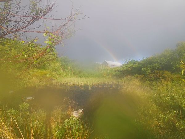 © Lukas Kroulik - Image from the My Photo-Trap Diaries - 15 Borreraig 365 photography project
