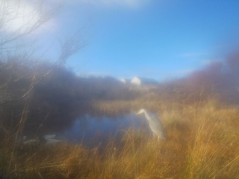 © Lukas Kroulik - Image from the My Photo-Trap Diaries - 15 Borreraig 365 photography project