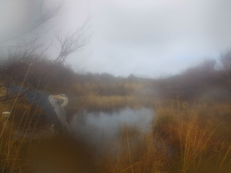 © Lukas Kroulik - Image from the My Photo-Trap Diaries - 15 Borreraig 365 photography project