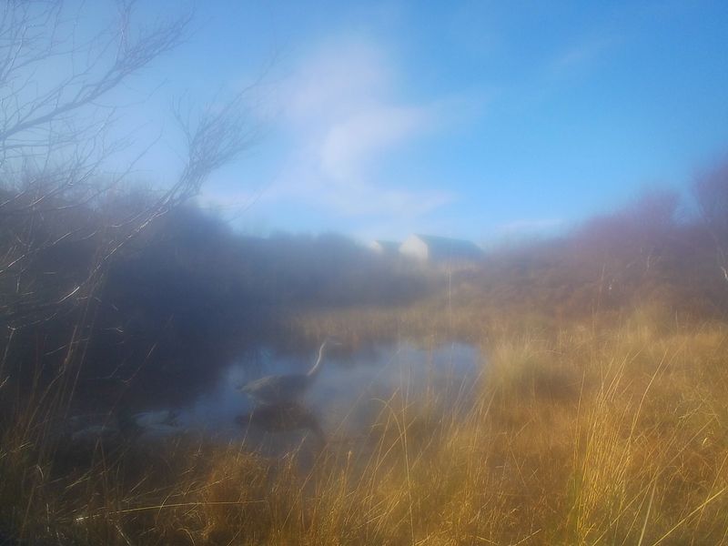 © Lukas Kroulik - Image from the My Photo-Trap Diaries - 15 Borreraig 365 photography project