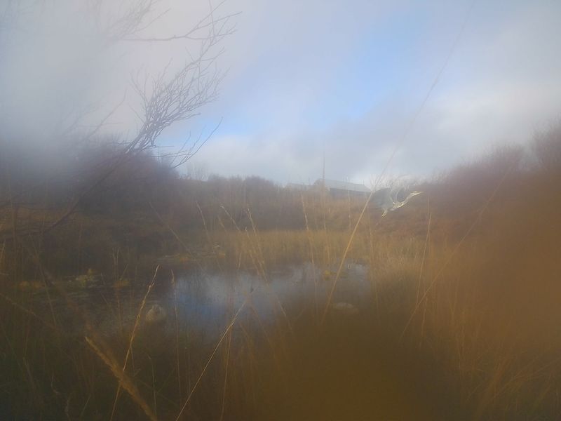 © Lukas Kroulik - Image from the My Photo-Trap Diaries - 15 Borreraig 365 photography project