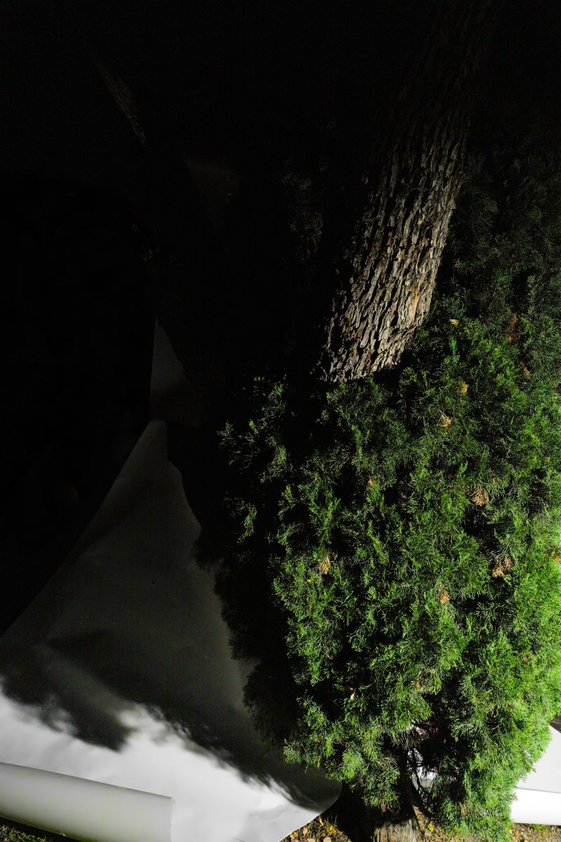 © Carlos Yamil - Image from the Everything I have loved, I have loved in an impossible language photography project