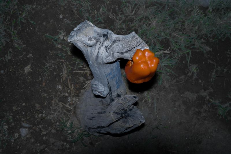 © Carlos Yamil - Image from the Everything I have loved, I have loved in an impossible language photography project