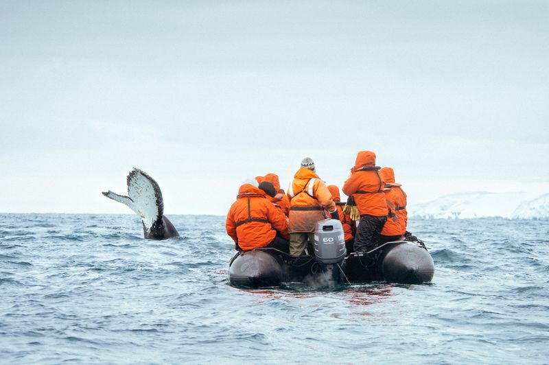 © Lorraine Turci - Image from the Welcome on  board photography project