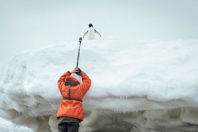 © Lorraine Turci - Image from the Welcome on  board photography project