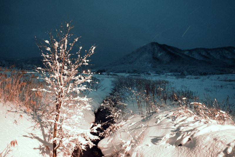 © Lorraine Turci - Image from the The  resilience  of the crow photography project