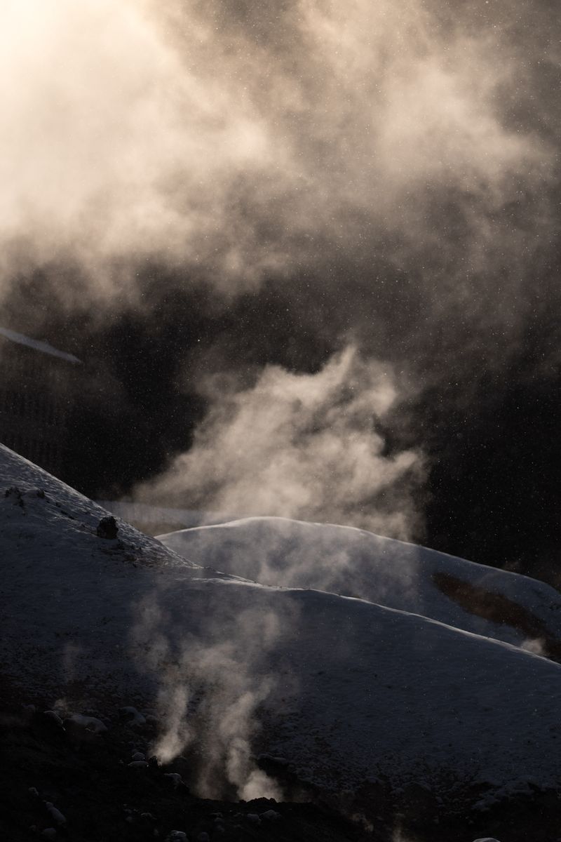 © Lorraine Turci - Image from the The  resilience  of the crow photography project