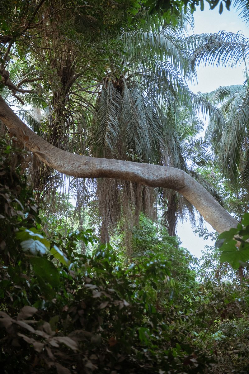 © Lorraine Turci - Image from the Avant demain (Before tomorrow) photography project